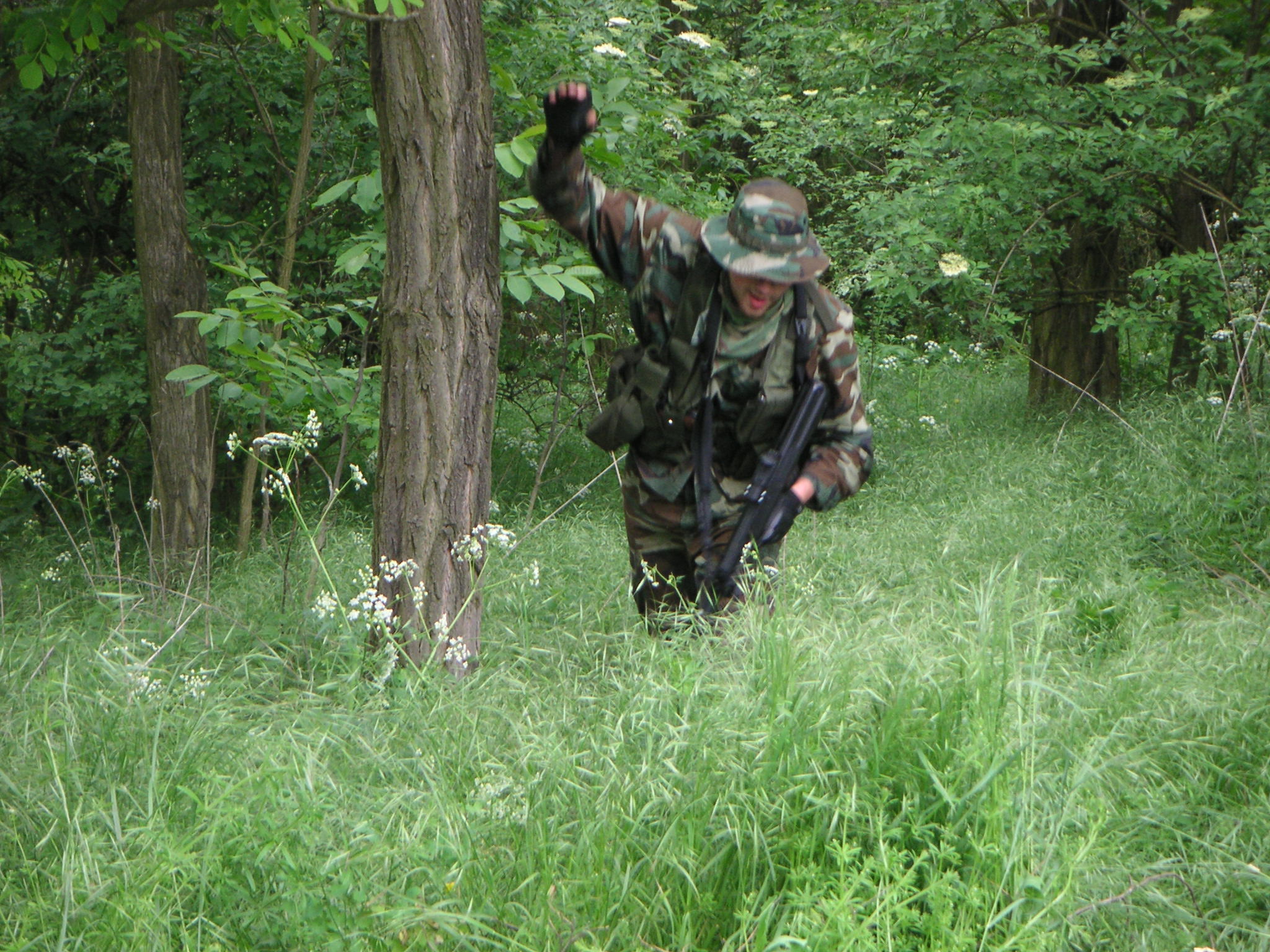 PICT3714.JPG
